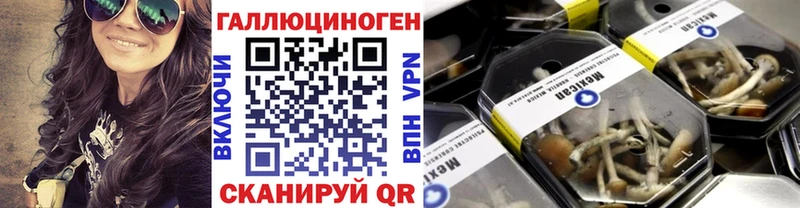 Галлюциногенные грибы Psilocybine cubensis  где найти   Арск 